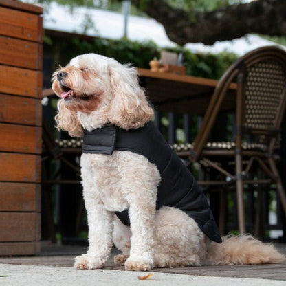 DGG Black Puffer Dog Coat - My Pooch and Me