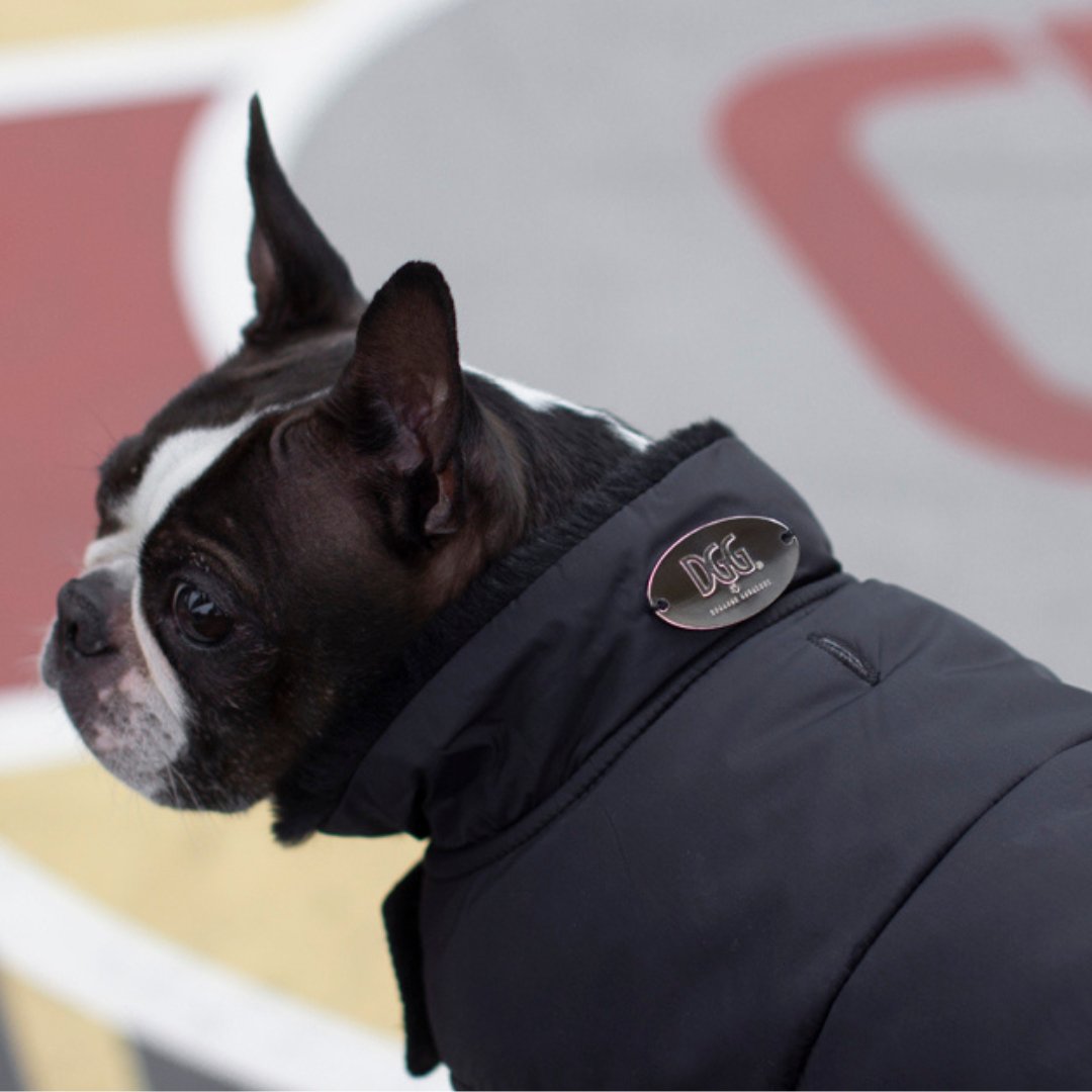 DGG Black Puffer Jacket - My Pooch and Me