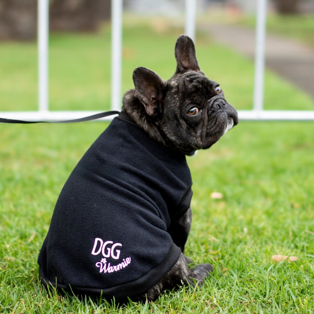 DGG Black Warmie Dog Jumper - My Pooch and Me