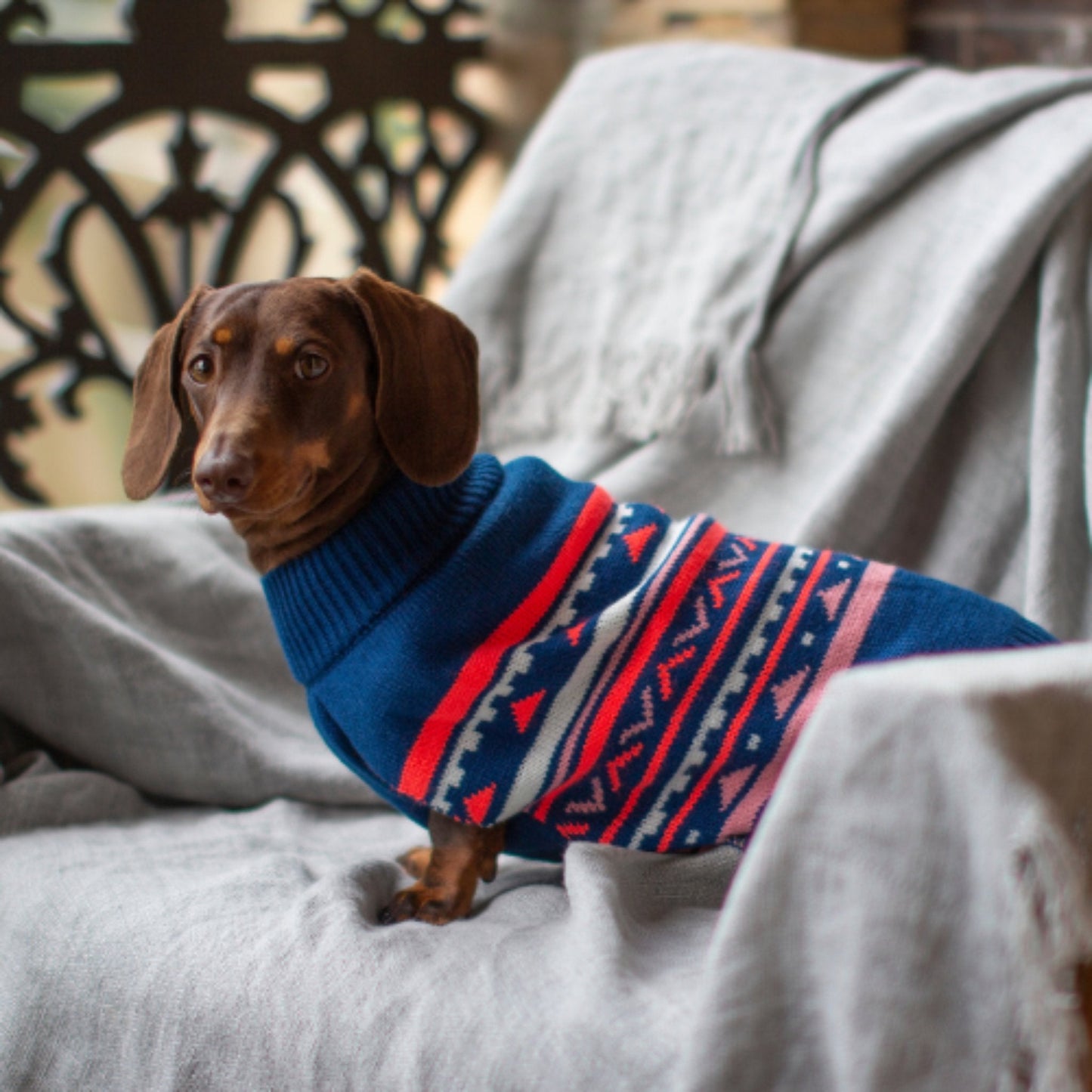 DGG Blue Aztec Knitted Dog Jumper - My Pooch and Me