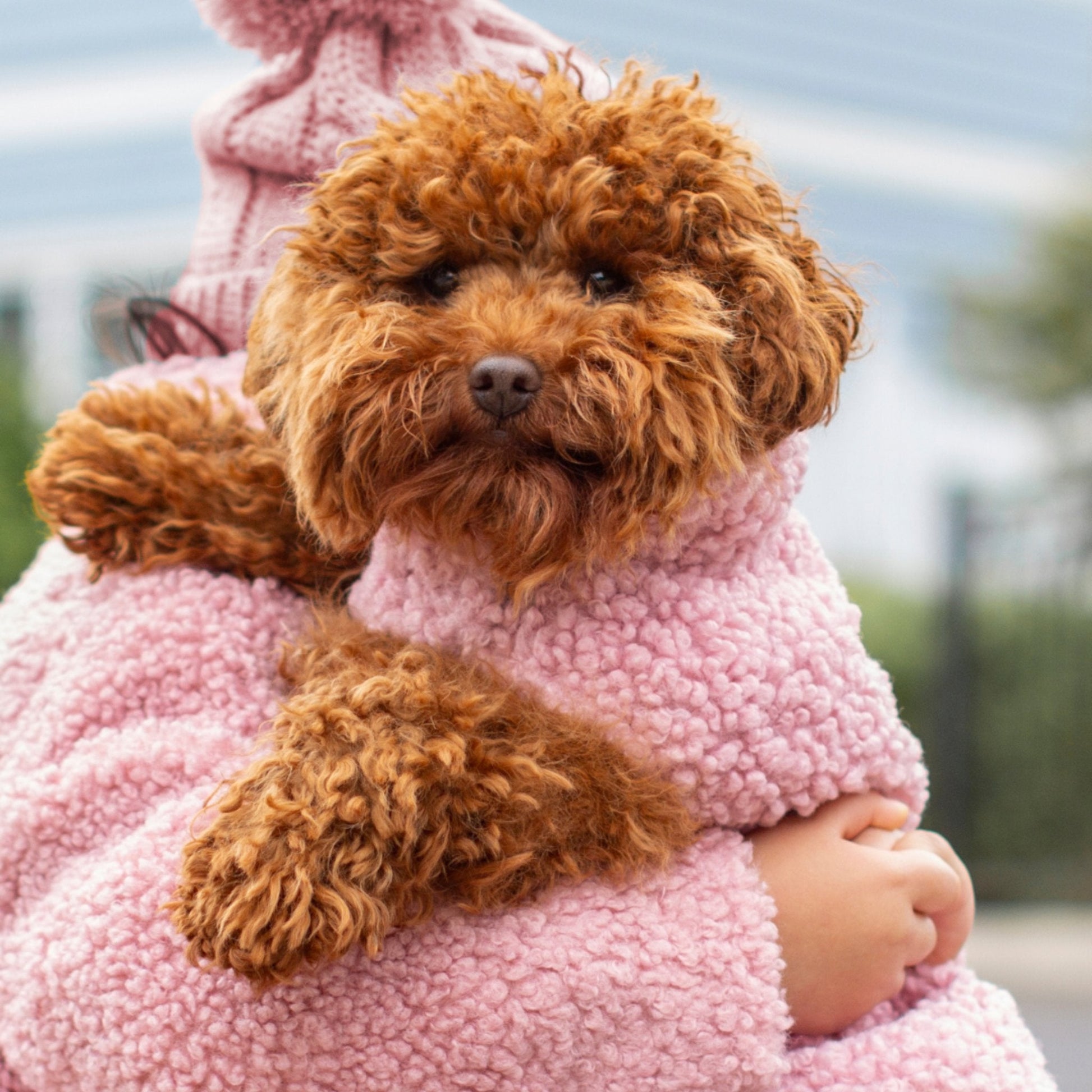 DGG Blush Pink Little Bear Fluffy Dog Coat - My Pooch and Me