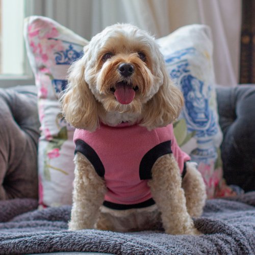 DGG Blush Pink Warmie Dog Jumper - My Pooch and Me