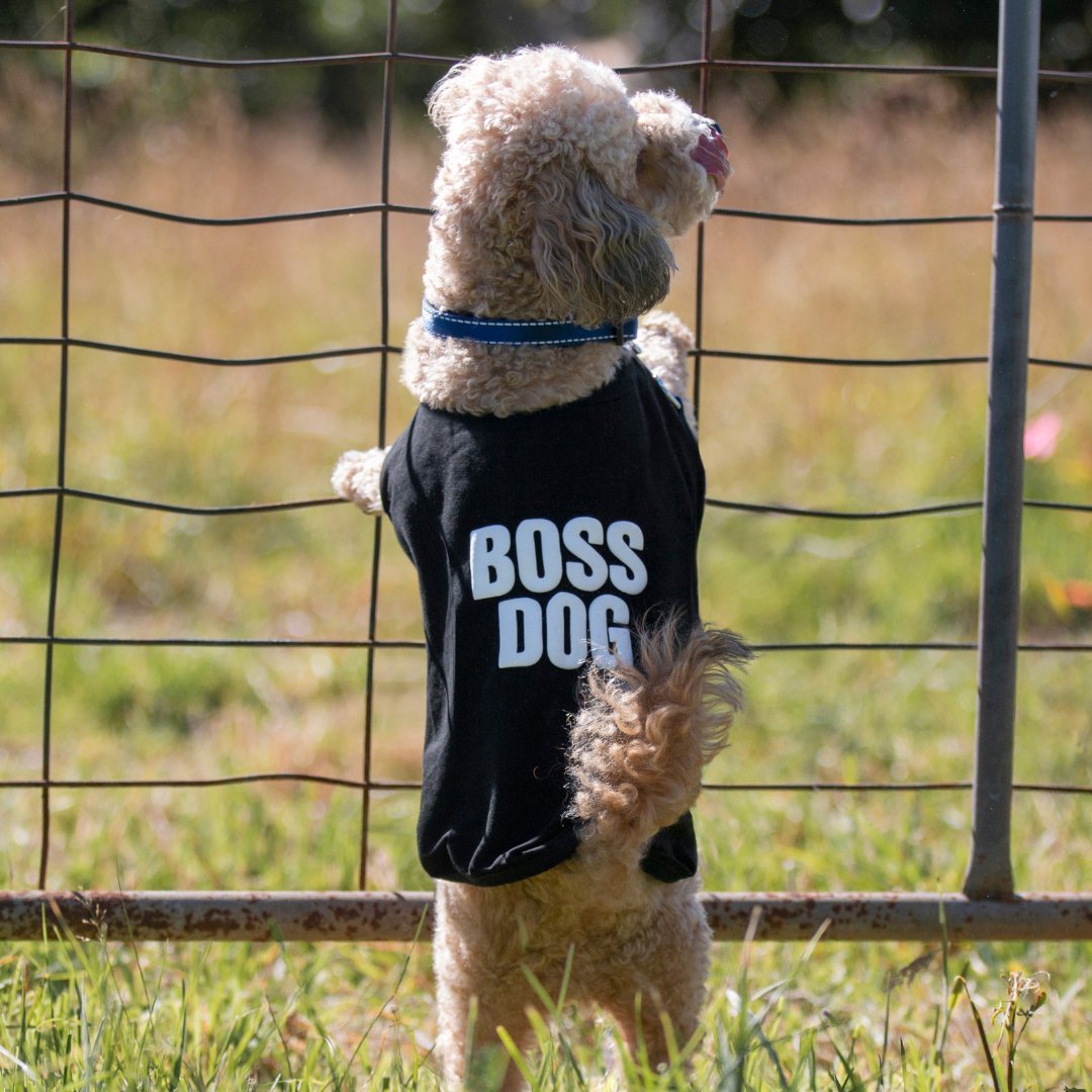 DGG Boss Dog Polar Fleece Dog Warmie - My Pooch and Me