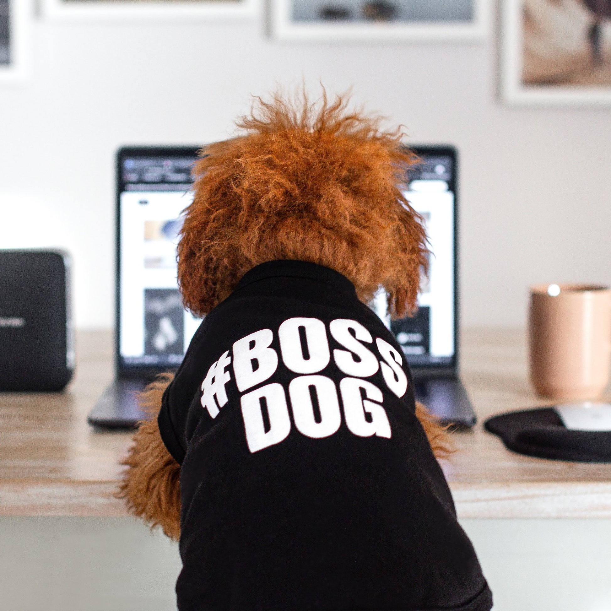 DGG Boss Dog T-Shirt - My Pooch and Me