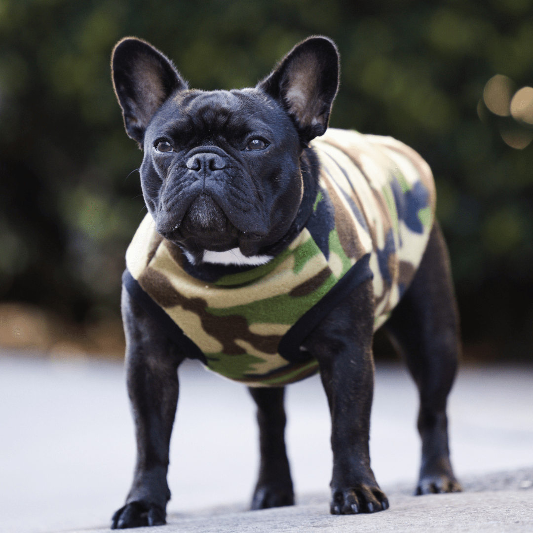 DGG Camouflage Polar Fleece Dog Warmie - My Pooch and Me