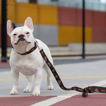 DGG Chewy Vuitton Designer Dog Lead - My Pooch and Me