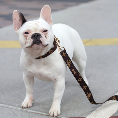 DGG Chewy Vuitton Designer Dog Lead - My Pooch and Me