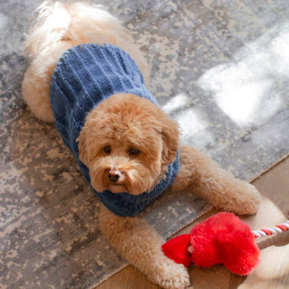 DGG Cornflower Fluffy Cable Knitted Dog Jumper - My Pooch and Me