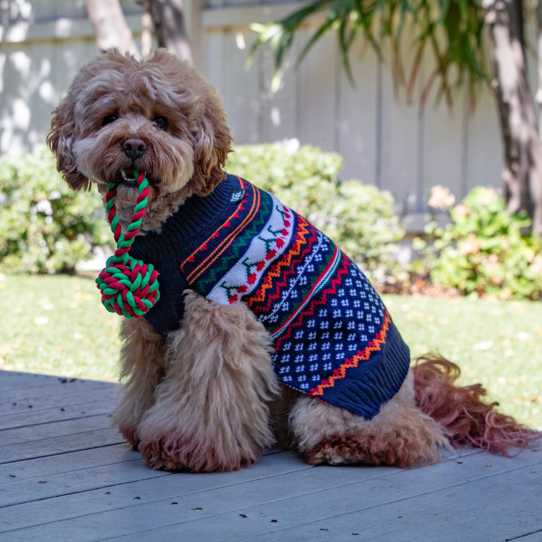 DGG Crew Knitted Dog Jumper - My Pooch and Me