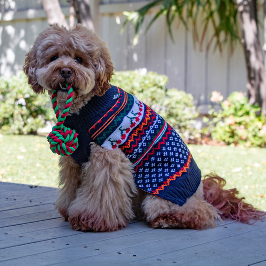 DGG Crew Knitted Dog Jumper - My Pooch and Me