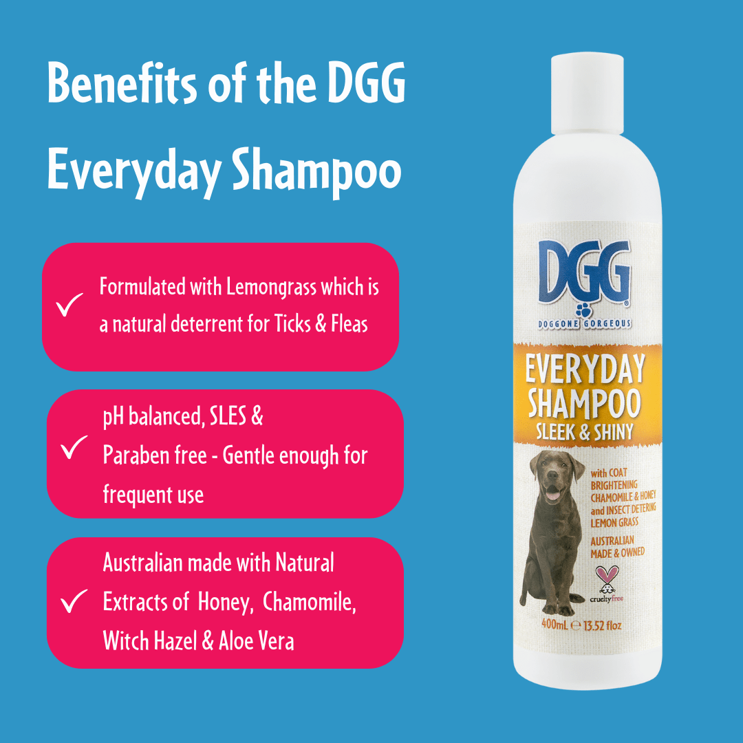 DGG Everyday Dog Shampoo 400mL - My Pooch and Me