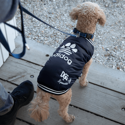 DGG Fashionista Adidog Bomber Jacket - My Pooch and Me