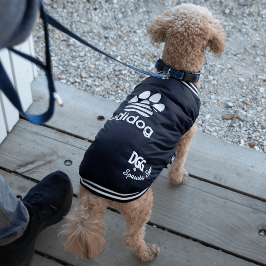 DGG Fashionista Adidog Bomber Jacket - My Pooch and Me