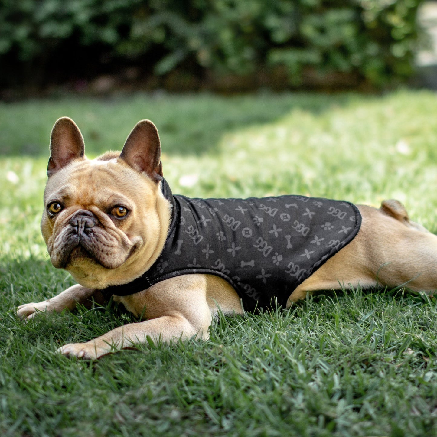 DGG Fashionista Black Chewy Vuitton Quilted Dog Coat - My Pooch and Me