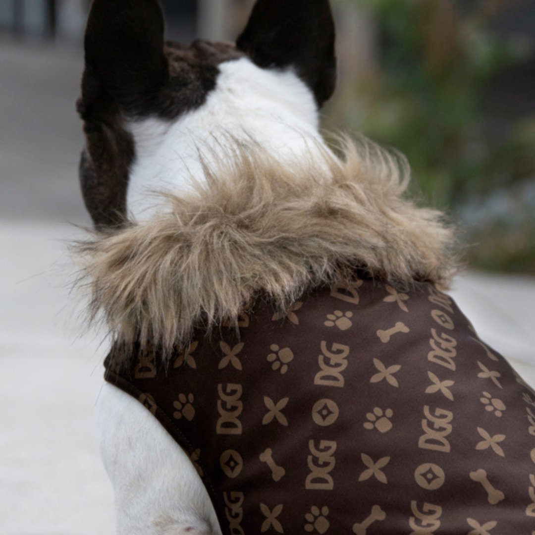 DGG Fashionista Chewy Vuitton Faux Fur Trim Quilted Dog Coat - My Pooch and Me