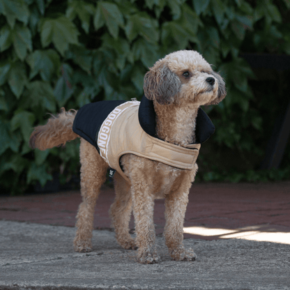 DGG Fashionista Game On Dog Coat - My Pooch and Me