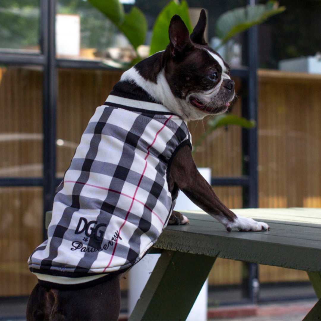 DGG Fashionista Pawberry Bomber Jacket - My Pooch and Me