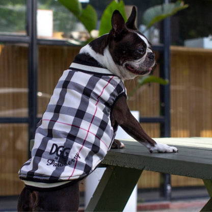 DGG Fashionista Pawberry Bomber Jacket - My Pooch and Me