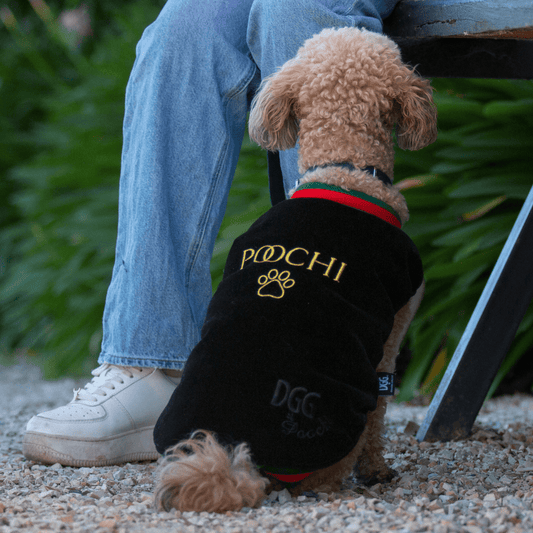 DGG Fashionista Poochi Bomber Jacket - My Pooch and Me