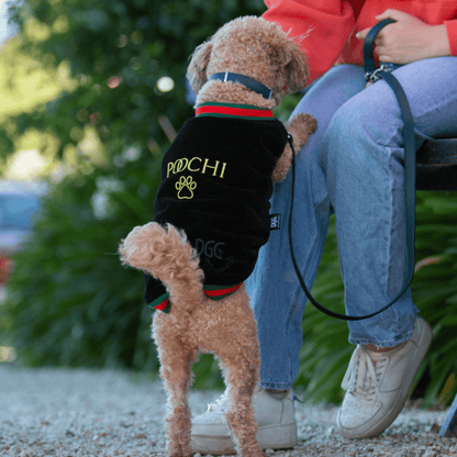 DGG Fashionista Poochi Bomber Jacket - My Pooch and Me