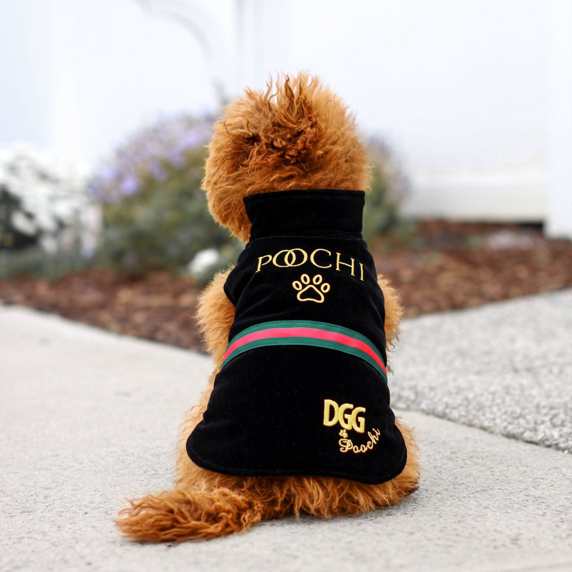 DGG Fashionista Poochi Dog Coat - My Pooch and Me