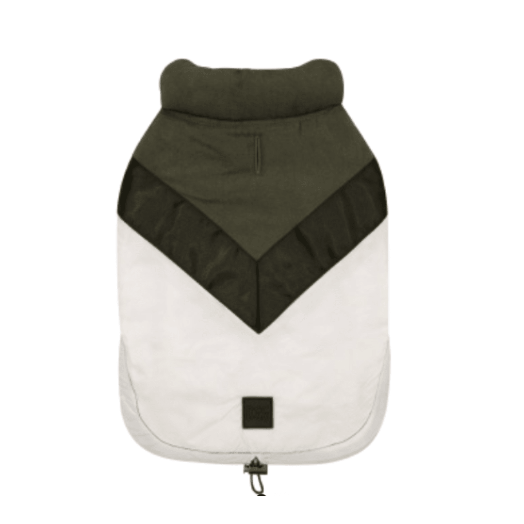 DGG Fashionista Ventura Dog Coat - My Pooch and Me