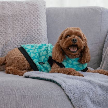 DGG Green Hearts Polar Fleece Dog Warmie - My Pooch and Me