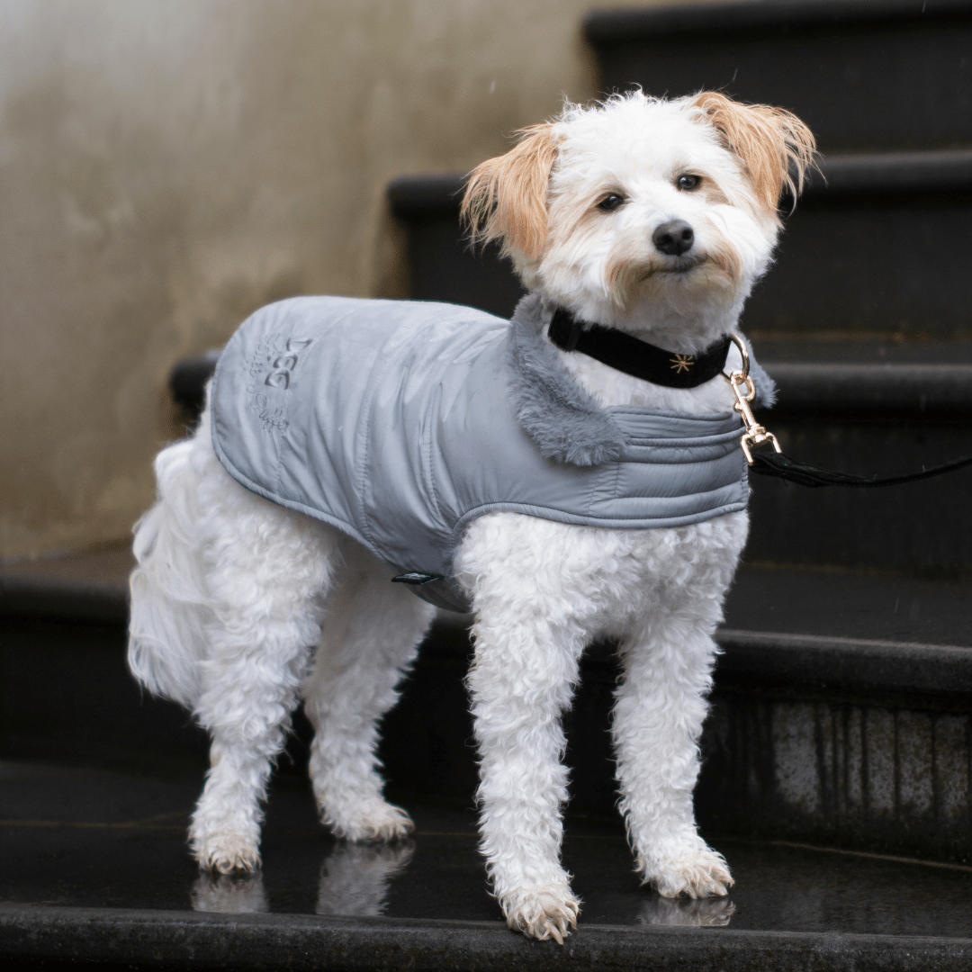 DGG Grey Puffer Dog Coat - My Pooch and Me