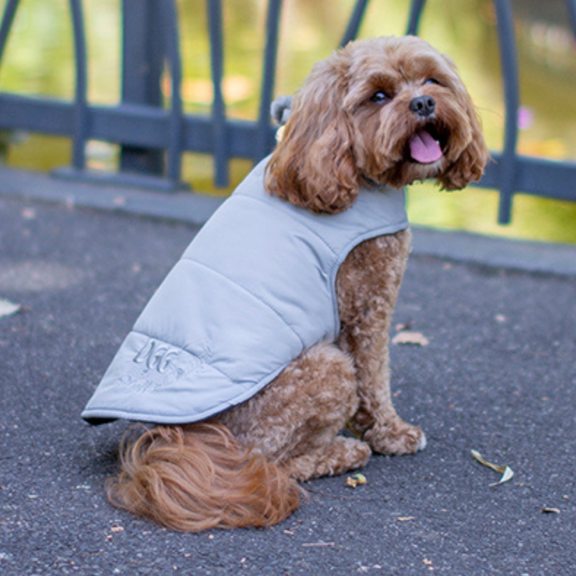 DGG Grey Puffer Jacket - My Pooch and Me