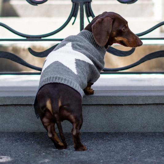 DGG Grey Star Knitted Dog Jumper - My Pooch and Me