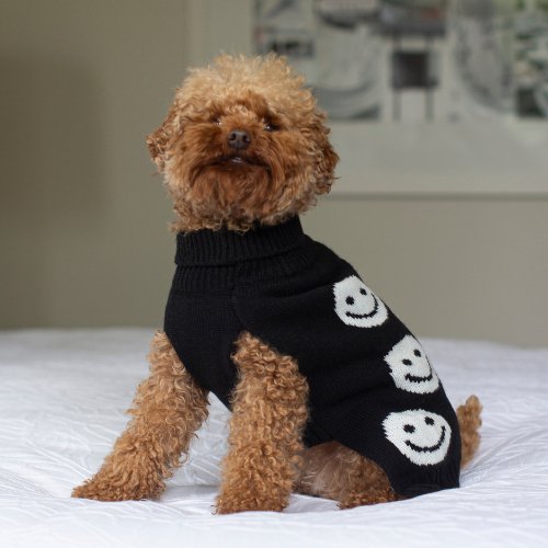 DGG Happy Days Knitted Dog Jumper - My Pooch and Me