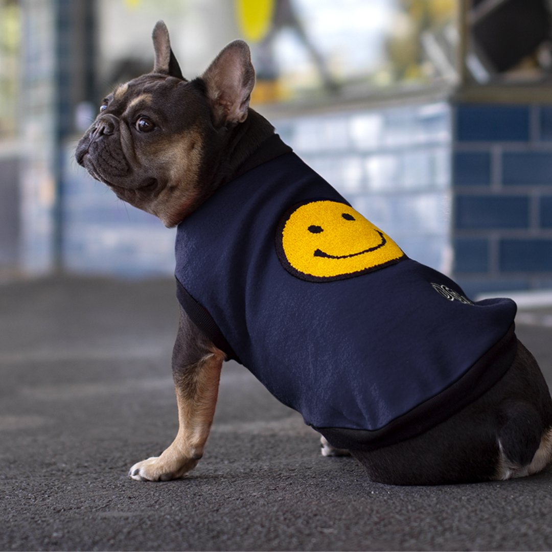 DGG Happy Navy Warmie Dog Jumper - My Pooch and Me