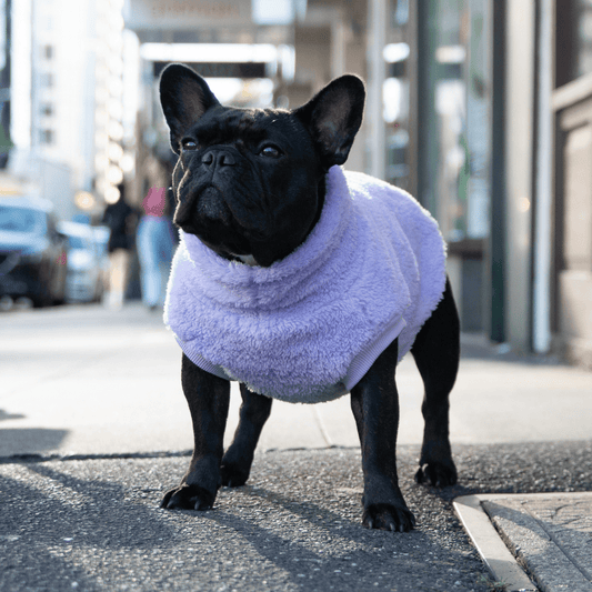 DGG Lavender Snuggly Dog Jumper - My Pooch and Me