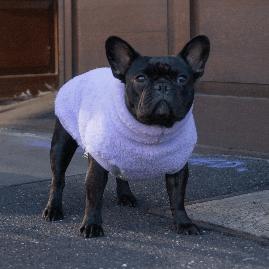 DGG Lavender Snuggly Dog Jumper - My Pooch and Me