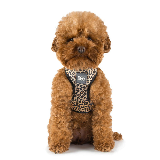 DGG Leopard Fashionista Easy Walker Dog Harness - My Pooch and Me