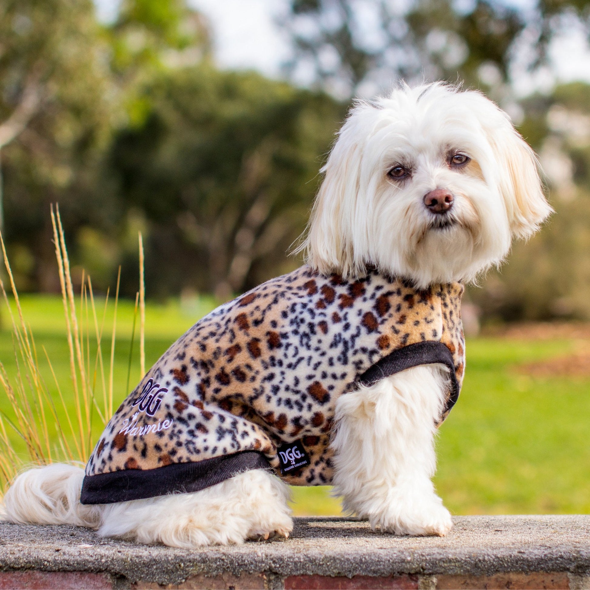 DGG Leopard Print Polar Fleece Dog Warmie - My Pooch and Me