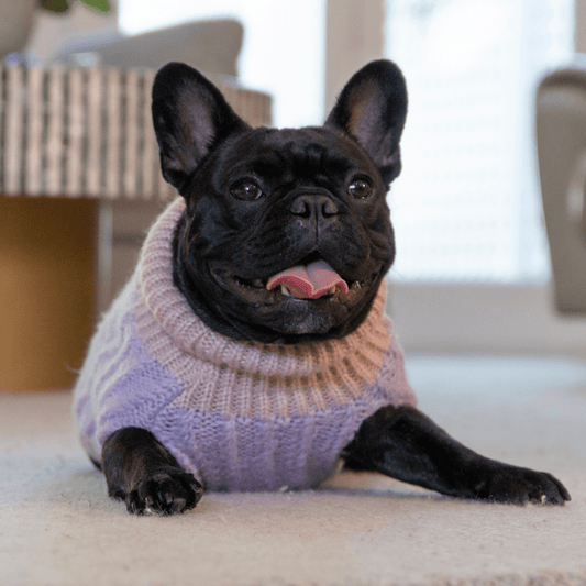 DGG Lilac & Flax Chunky Knitted Dog Jumper - My Pooch and Me