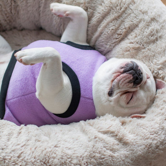 DGG Lilac Polar Fleece Dog Warmie - My Pooch and Me
