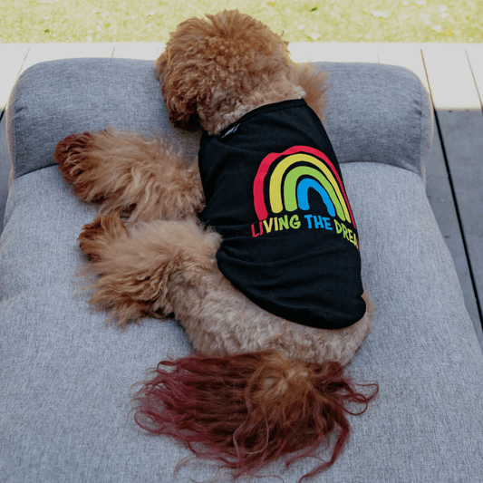 DGG Living The Dream Dog T-Shirt - My Pooch and Me