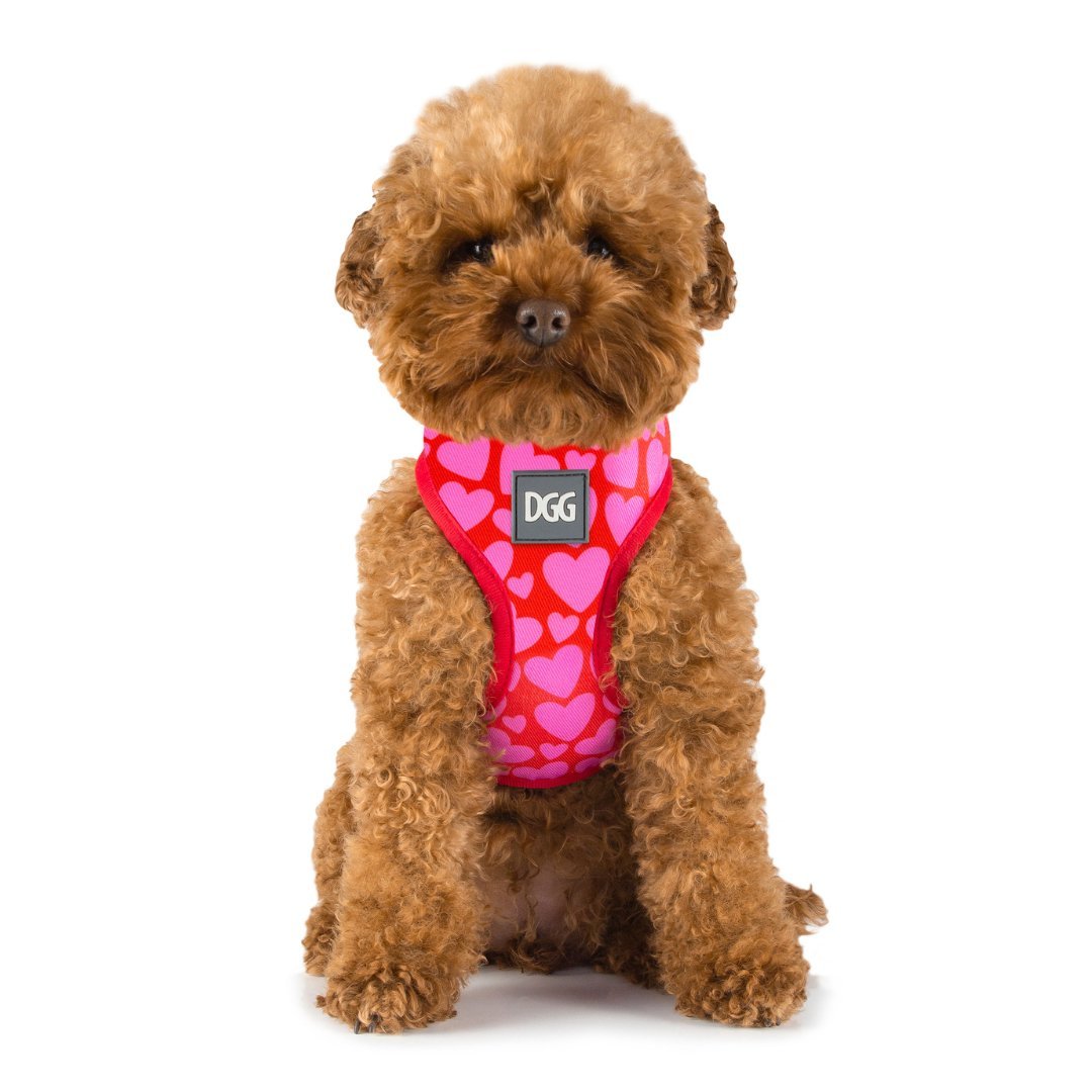 DGG Love Heart Print Easy Walker Dog Harness - My Pooch and Me