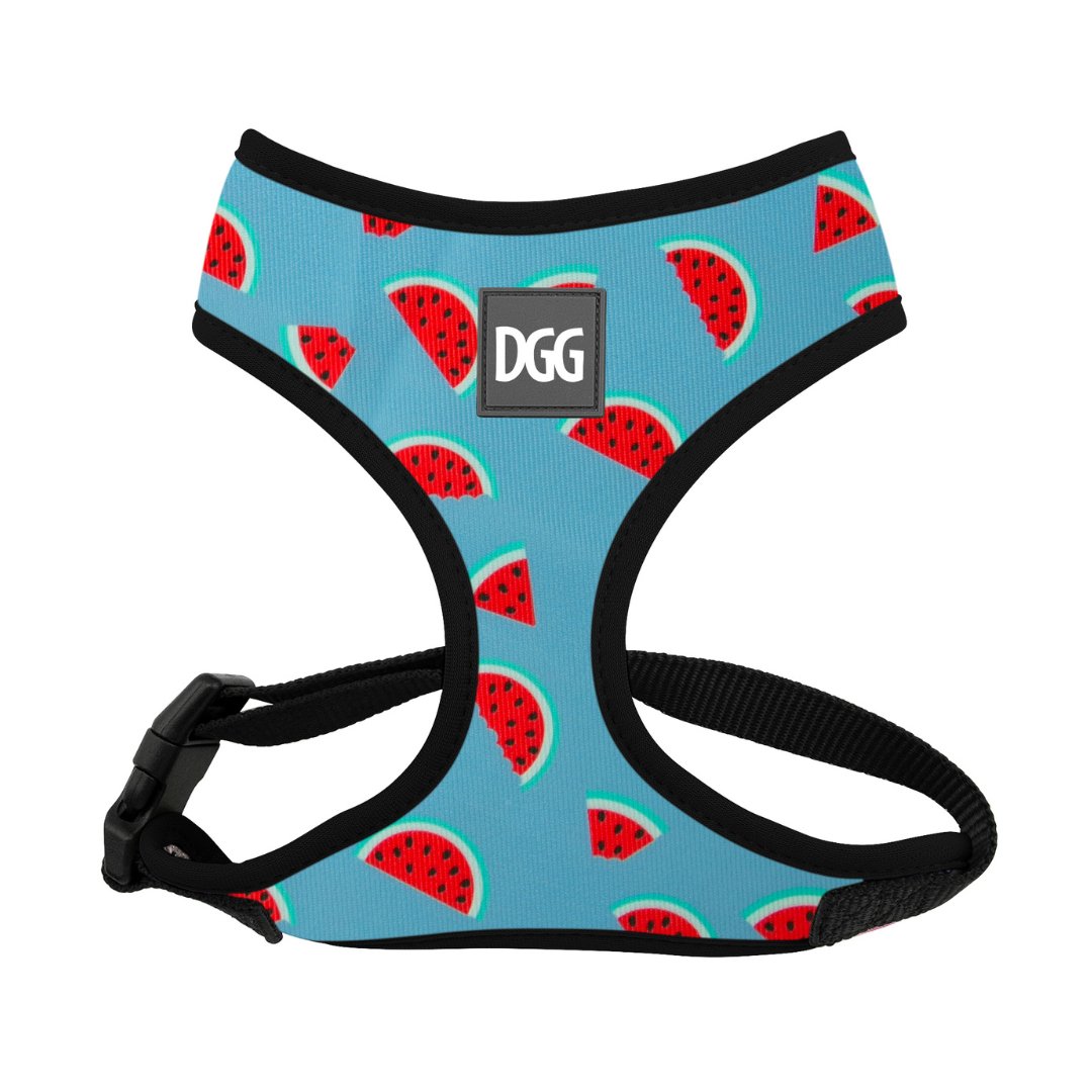 DGG Melon Fashionista Easy Walker Dog Harness - My Pooch and Me