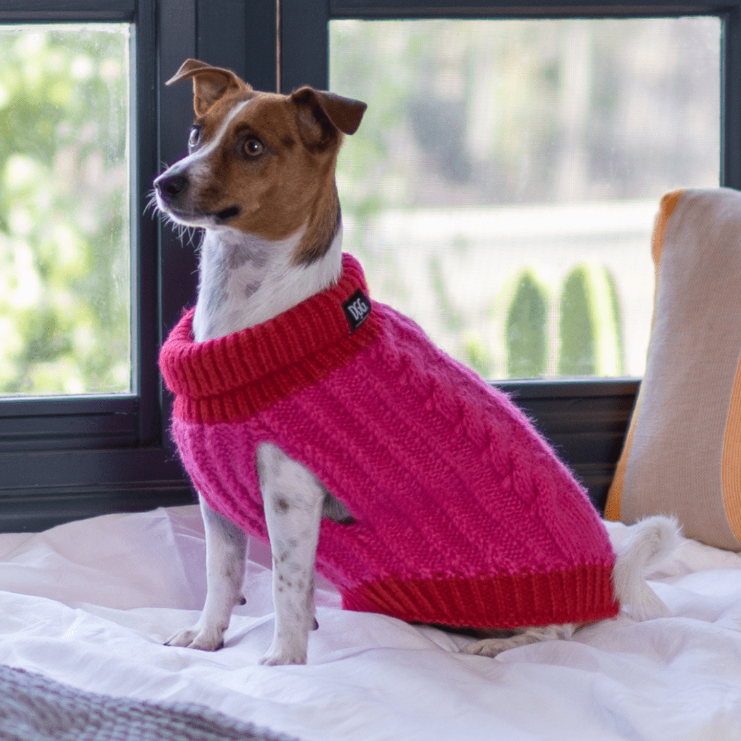 DGG Melon & Raspberry Chunky Knitted Dog Jumper - My Pooch and Me