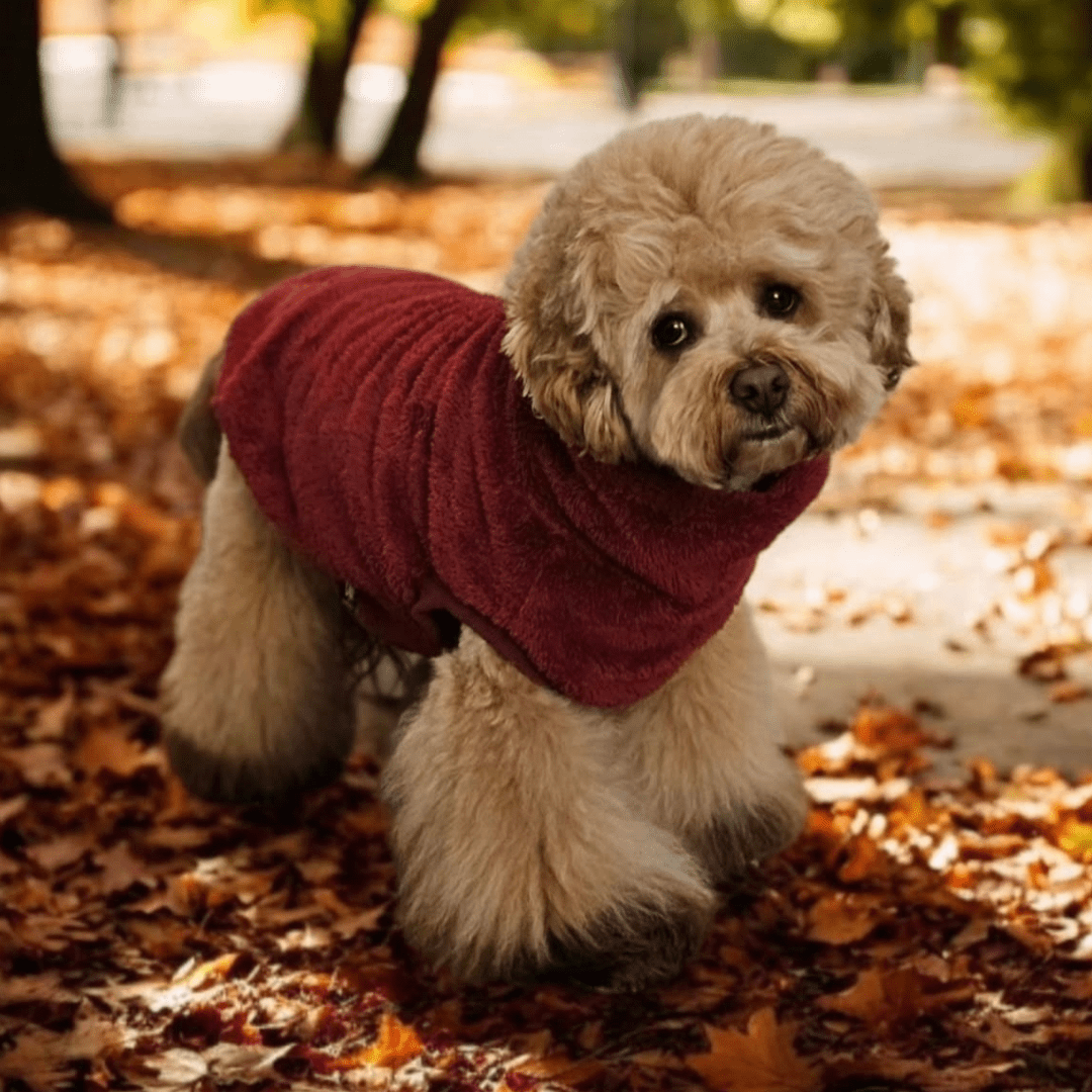 DGG Merlot Snuggly Dog Jumper - My Pooch and Me