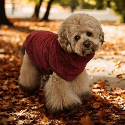 DGG Merlot Snuggly Dog Jumper - My Pooch and Me