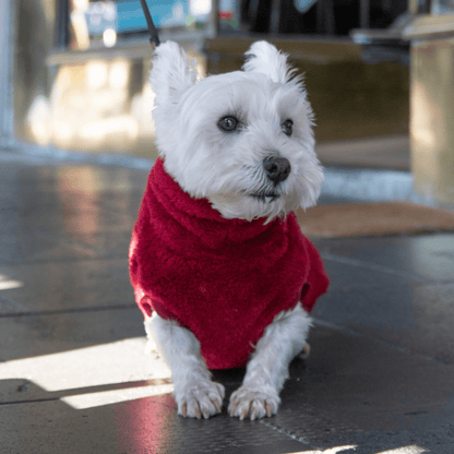 DGG Merlot Snuggly Dog Jumper - My Pooch and Me