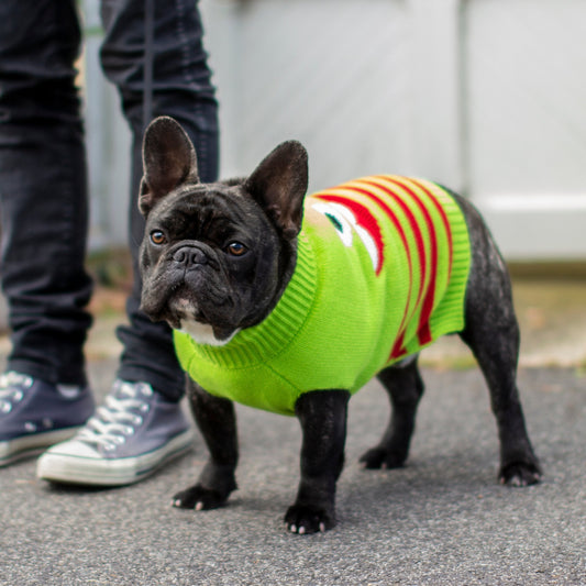 DGG Monster Print Knitted Dog Jumper - My Pooch and Me