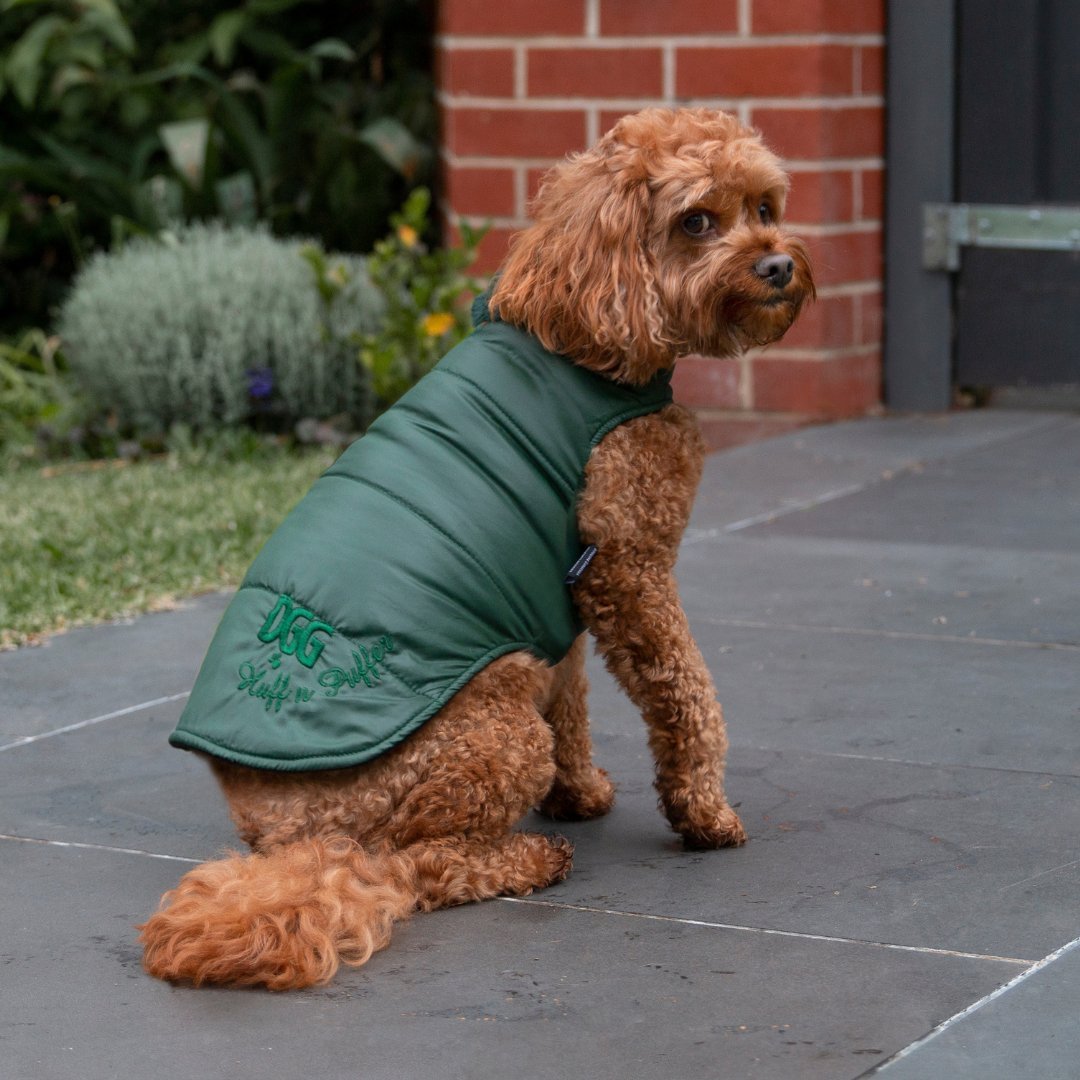 DGG Moss Green Puffer Dog Coat - My Pooch and Me