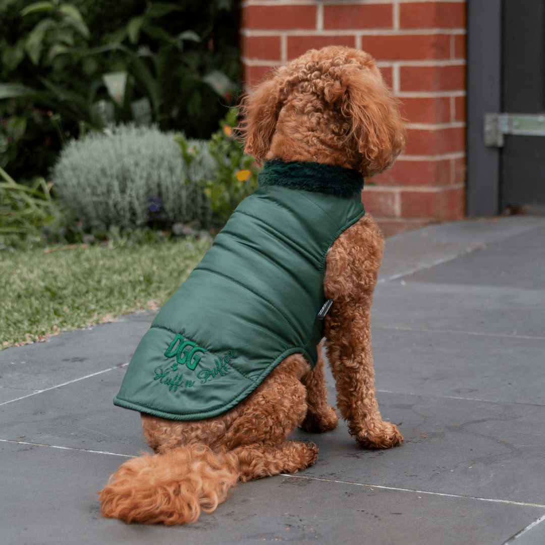 DGG Moss Green Puffer Dog Coat - My Pooch and Me