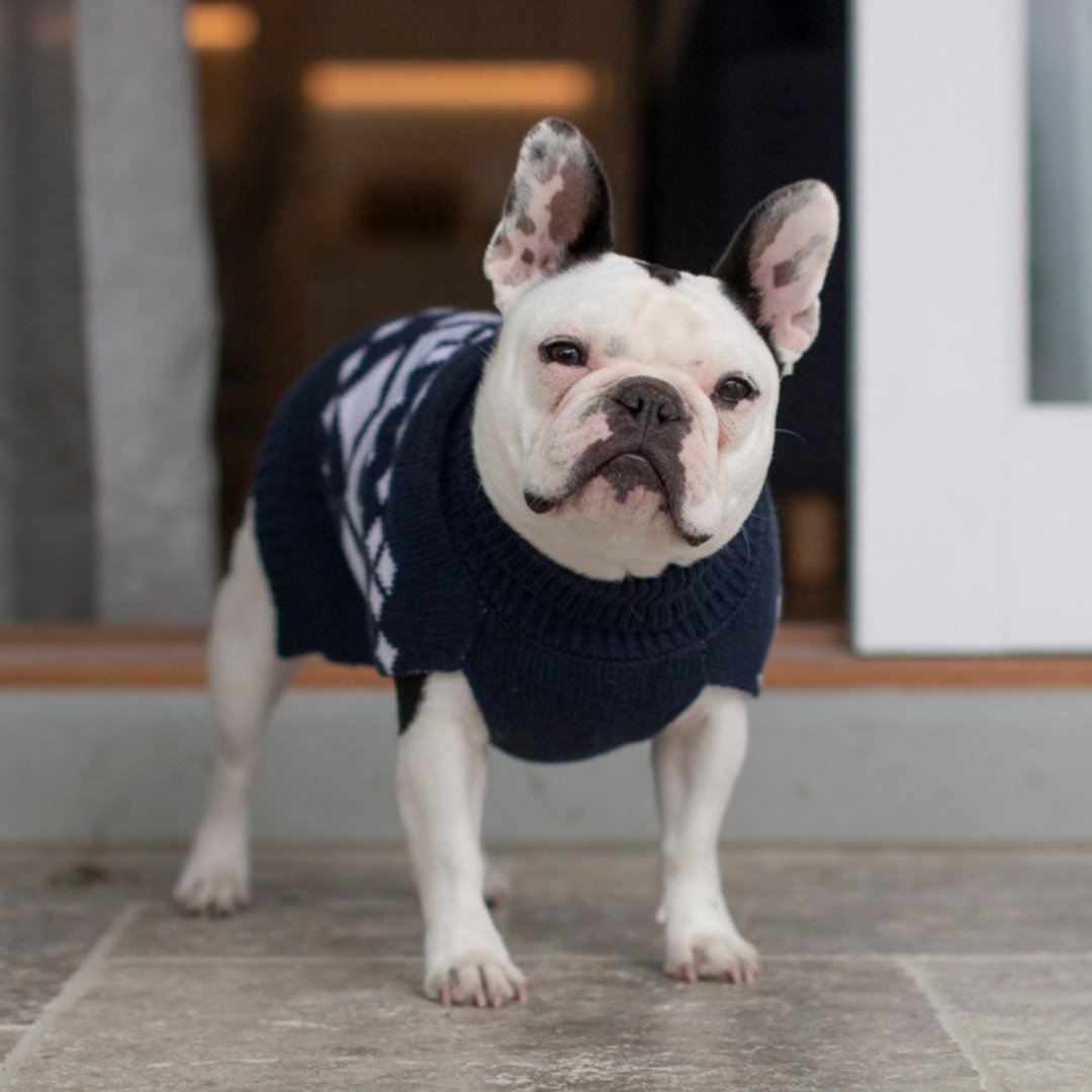 DGG Navy Alpine Knitted Dog Jumper - My Pooch and Me