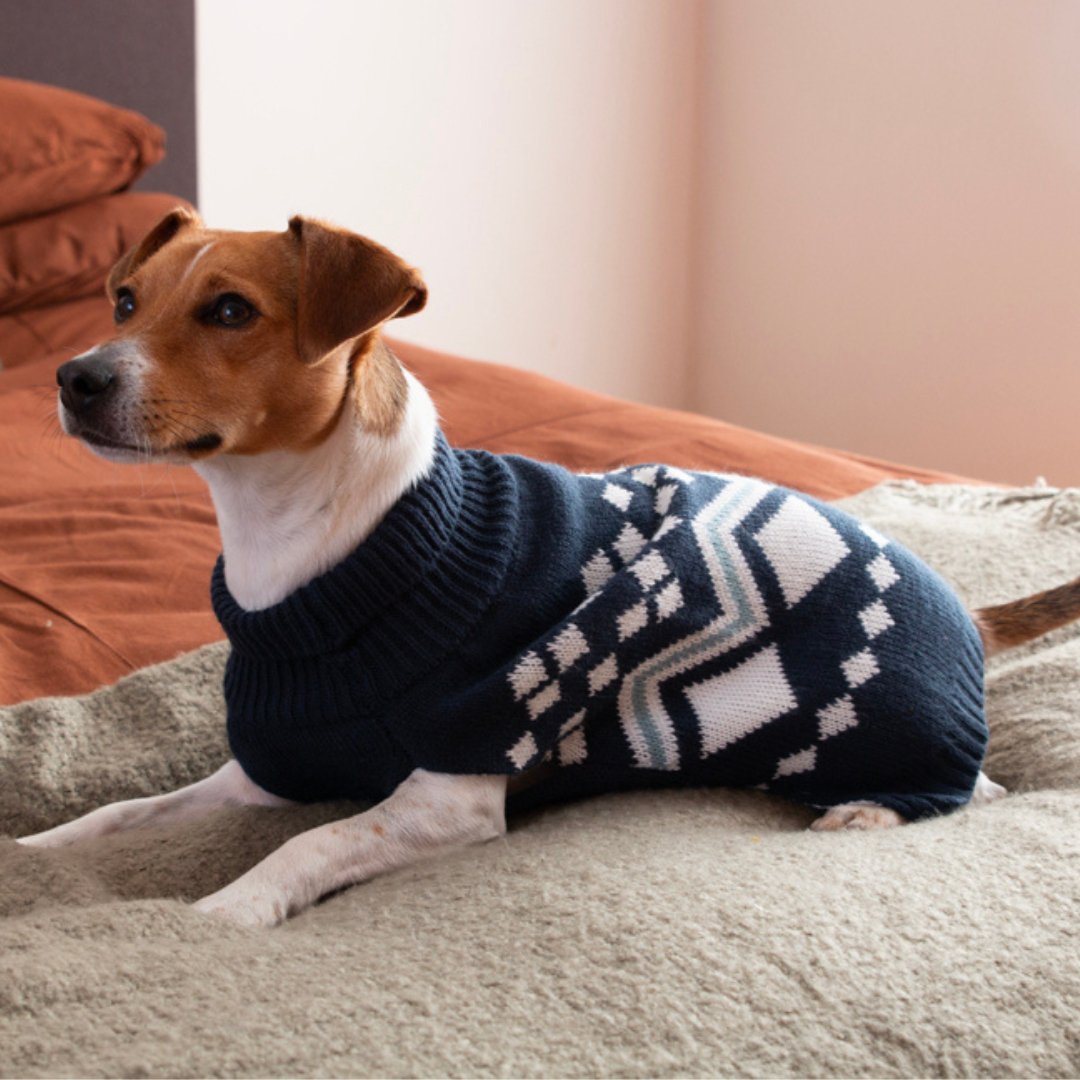 DGG Navy Alpine Knitted Dog Jumper - My Pooch and Me